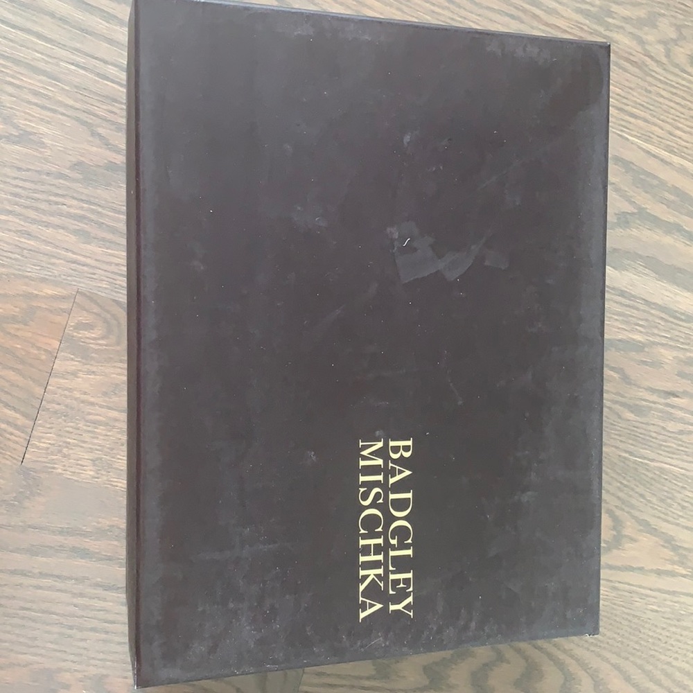 Badgley Mischka Wedding Shoes-Worn one time